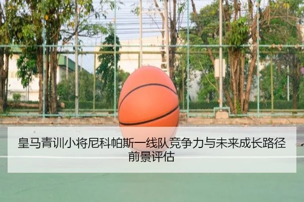 huang-ma-qing-xun-xiao-jiang-ni-ke-pa-si-yi-xian-dui-jing-zheng-li-yu-wei-lai-cheng-zhang-lu-jing-qian-jing-ping-gu-2-755.jpg